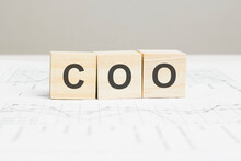 COO Wooden Blocks Word On Grey Background. COO - Chief Operating Officer, Information Concepts