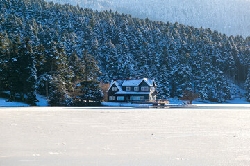 Wall Mural - Bolu Golcuk National Park, lake wooden house on a snowy winter day in the forest in Turkey. Frozen lake and forest in national park