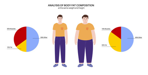 Wall Mural - Body fat composition