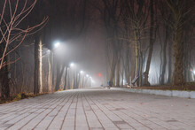 Deserted Alley In The Evening Park. The City Park Is Available In Foggy Weather