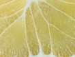 a slice of juicy fresh yellow aromatic bergamot very close in detail close-up macro. fruit background. pattern. citrus slice