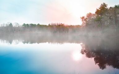 Wall Mural - Fog, rising sun, mirror-like blue water, and reflections in the pine tree forest pond on Cape Cod