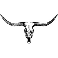 Longhorn Skull SVG Design, Bull Skull, Cow Skull, Farmhouse Decor, Wild West And Cowboy Drawing