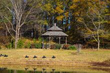 A Brown Wooden Gazebo Surrounded By A Gorgeous Autumn Landscape With Yellow Autumn Grass And Autumn Colored Trees And Plants Near The Lake  At Daniel Stowe Botanical Garden In Belmont North Carolina