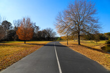 A Curve Black Street With A White Line In The Center Surrounded By Autumn Landscape With Green And Autumn Colored Trees And Plants And Fallen Autumn Leaves At Daniel Stowe Botanical Garden In Belmont 