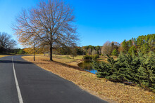 A Curve Black Street With A White Line In The Center Surrounded By Autumn Landscape With Green And Autumn Colored Trees And Plants And Fallen Autumn Leaves At Daniel Stowe Botanical Garden In Belmont 