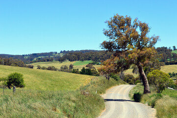 A dirt road n rural countryside near Oberon, New South Wales