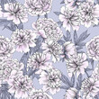Peony on a gray background. Seamless pattern with colors