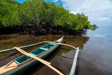 A Small Outrigger Boat Anchored Near Some Mangroves At Anda, Bohol.