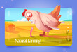 Natural farming cartoon landing page, funny chicken eating earthworm on autumn field with haystacks and yellow grass. Poultry farm, agriculture, farm production and organic food, Vector web banner