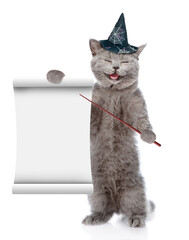 Poster - Happy kitten wearing hat for halloween points on empty list. isolated on white background