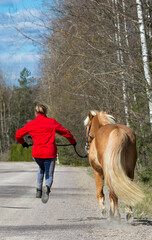 Wall Mural - Woman walking with horse in forest