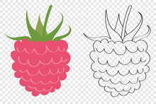 Raspberry - Sweet Red Berries, Flat Cartoon Childrens Coloring Pages On A Transparent Background. Icon And Emblem For Web Design Of Packaging For Vegetarian Food.