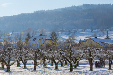 Wall Mural - Reinach im Winter, Kanton Aargau, Schweiz