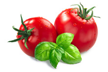 Fresh Tomatoes With Basil Leaves Isolated