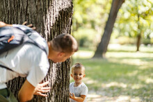 Family Camping Activities In Nature. A Game Of Hiding And Seek. A Grown Man Hides Behind A Tree And Peeks Out Looking For A Boy Standing In The Woods Holding A Tree Branch In His Hand