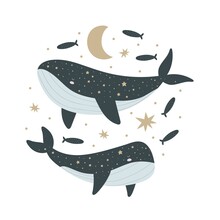 Cartoon Whale, Stars, Decor Elements. Colorful Vector Illustration, Flat Style. Design For Cards, Print, Posters, Logo, Cover