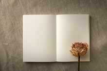見開きの白い空白のノートと1本のバラのドライフラワー
