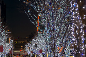 Wall Mural - 東京都港区六本木のクリスマスイルミネーションの景色