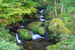 Gutach River near Triberg in the Black Forest, Baden-Wuerttemberg, Germany