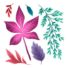 A Set Of Drawings Of Different Leaves And Twigs In A Flat Style