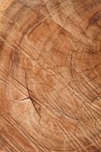 A Wood Wooden Orange Texture Background