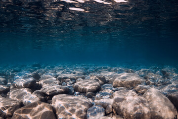 Wall Mural - Underwater view with stones bottom, reflection in water. Ocean background