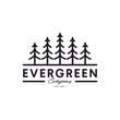Vintage pine tree evergreen logo with lineart style design template