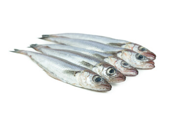 Fresh blue whiting on a white background. Fresh fish. Copy space.