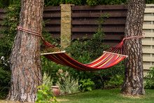 Red Hammock Swing In Metal Frame With Nobody On Green Lawn In Backyard Near Log House Cottage. Rest Relax Relaxation Alone On Hammock Swing In Summer Garden. Long Web Banner.