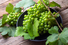 Unripe Green Grapes, Grapevine With Leaves (Turkish Name; Koruk)