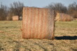 Hay Bale in a Farm Field