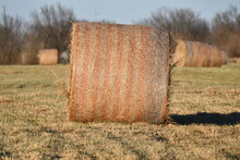 Hay Bale In A Farm Field
