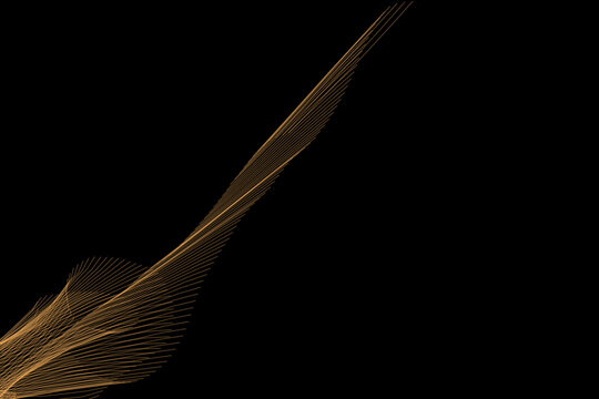 Abstract network background lines. Abstract futuristic with connection lines on black background