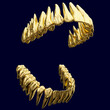 Anatomy correct open dental arch made of polished gold or polished gilt metal. 3D illustration of the human dental arches with polished gold teeth.