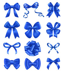 Poster - Blue Ribbon Realistic Set