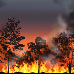 Wall Mural - Forest Fire Background