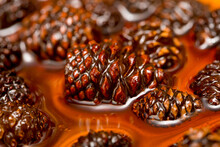 Young Pine Cones Jam. Useful And Tasty Dessert. Traditional Siberian Dessert - Young Pine Cones Jam. Glass Ramekin Of Jam Made From Pine Cones On A White Background.