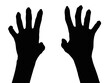 © Илья Подопригоров - silhouette of a hand  isolated white background showing  gesture holds something or takes, gives.  hands showing different gestures