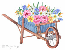 Garden Wheelbarrow  With Spring Flowers. Watercolor Illustration. Peonies, Daffodils, Hyacinth, Leaves.
