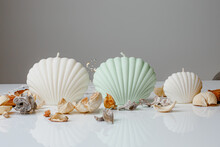 Seashells Candles With  With Dried Flowers On Light Grey Background. Spa Concept. Hygge. Minimalistic Interior.  Cozy Home. Relaxing. 