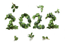 
Creative New Year Minimalistic 2022 Image Made Of Green Leaves Isolated On White Background. Eco Friendly Concept. Copy Space. Space For Text