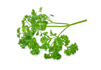 Wall Mural - Parsley isolated on white background