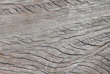 Texture Of Wood Use As Design Background.
