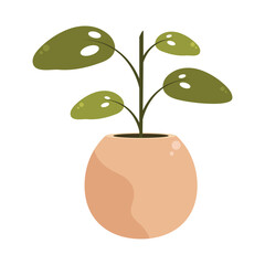 Poster - houseplant flat icon