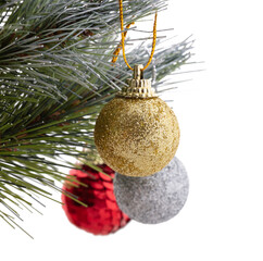 Wall Mural - Christmas tree. Green pine branches decorated with a golden ball. Out of focus red and silver balls in the background. Close up shot. Isolated on white background