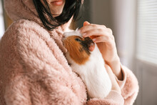 Cute Guinea Pig In The Girl's Arms, Child And Animal Concept