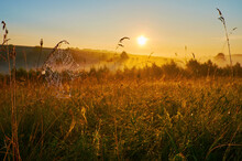 The Grasses And Spider Web On The Meadow Against The Sunrise Sky