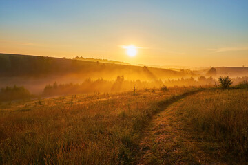 Poster - The foggy summer sunrise over the meadow