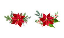 Poinsettia Flower Set. Christmas Decorations With Red Flower, Fir Tree Branches, Cones And Holly Vector Illustration